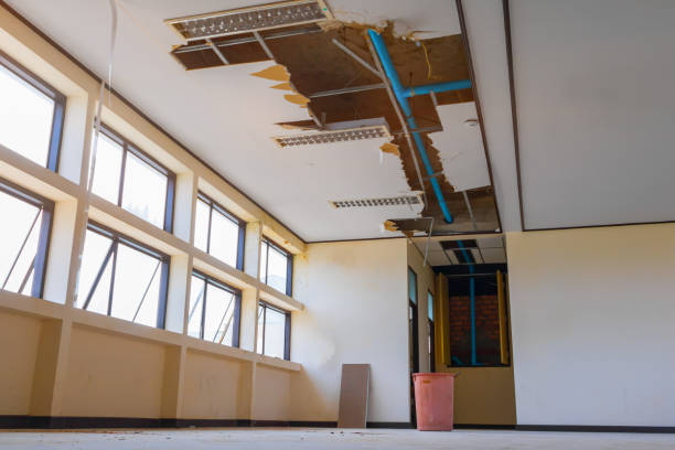 Best Water damage restoration near me  in Tioga Terrace, NY