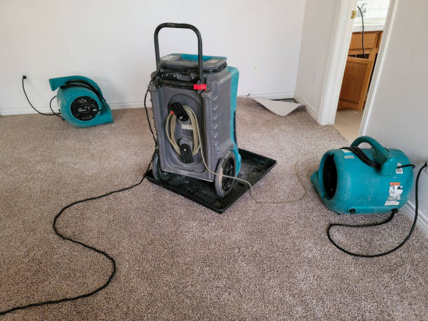 Best 24-hour water damage restoration  in Tioga Terrace, NY