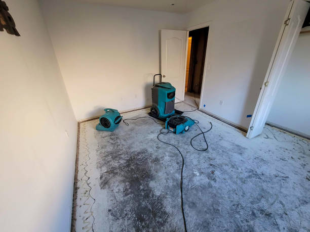 Best Sewage cleanup and water damage restoration  in Tioga Terrace, NY