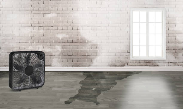  Tioga Terrace, NY Water damage restoration Pros