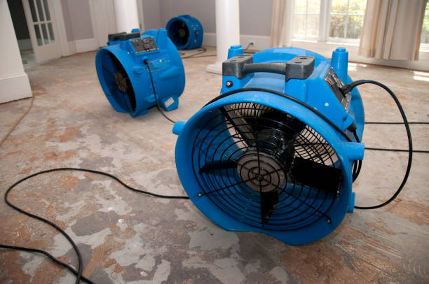 Best Mold removal after water damage  in Tioga Terrace, NY