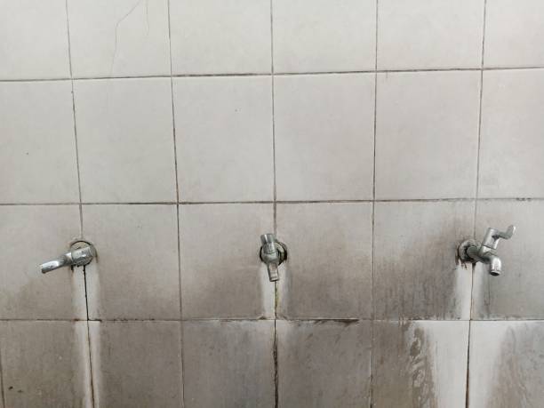 Best Mold removal after water damage  in Tioga Terrace, NY