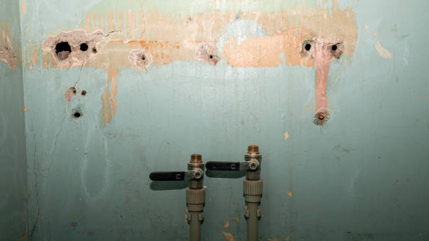 Best Flood restoration services  in Tioga Terrace, NY