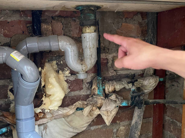 Best Water damage contractors near me  in Tioga Terrace, NY