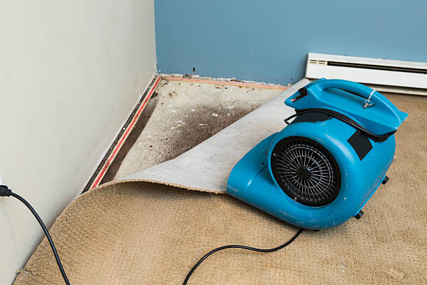 Best Fire Damage Restoration  in Tioga Terrace, NY